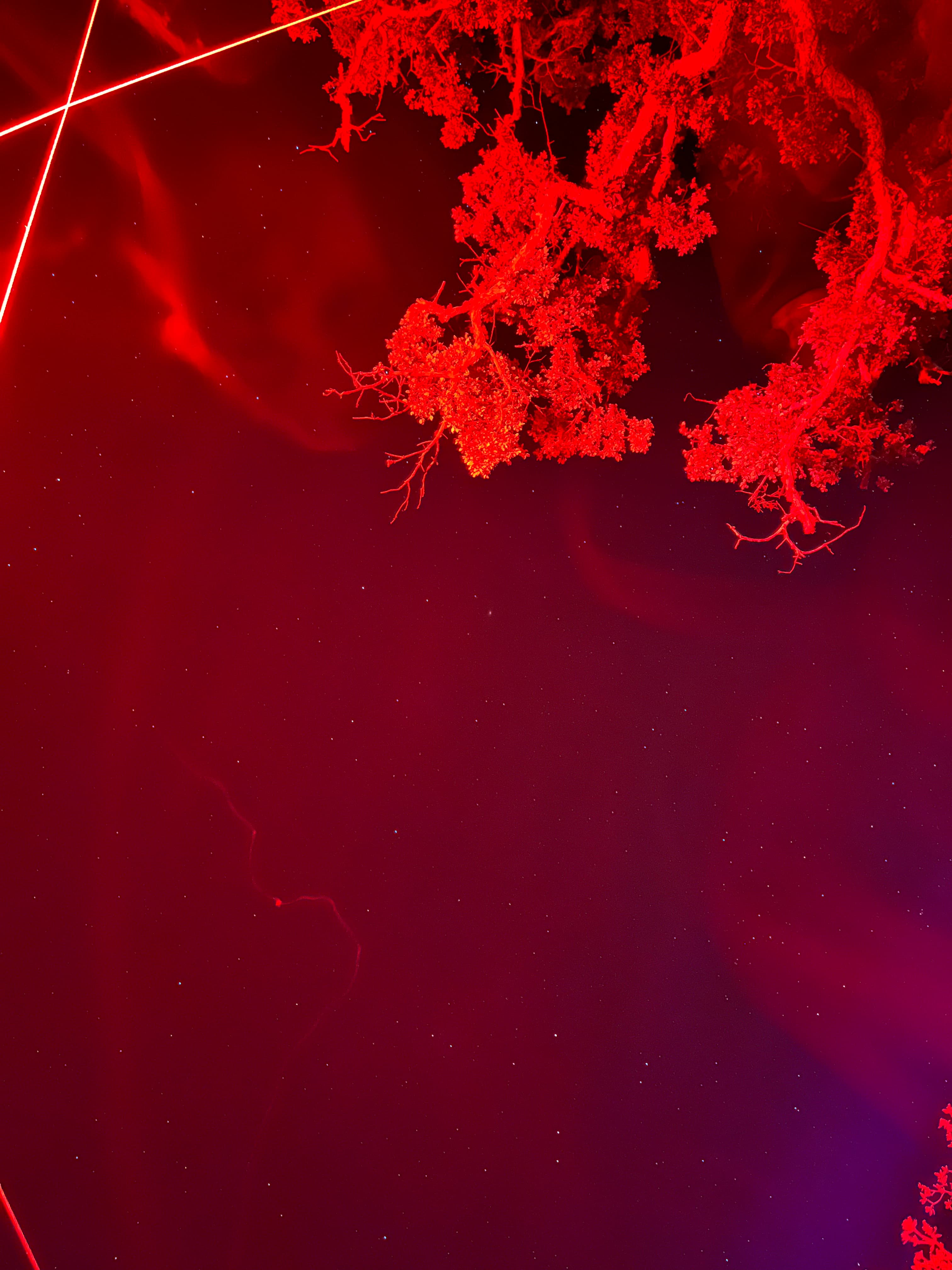 Harmonic Grid visual